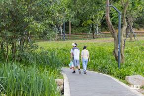 嶂背郊野公园