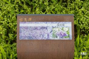 嶂背郊野公园