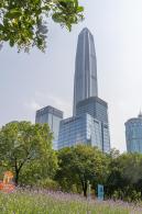 市民中心马鞭草