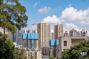 沙头角公园