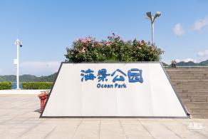 灯塔图书馆