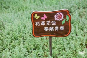 零碳公园