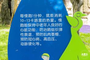 深圳森林体育公园