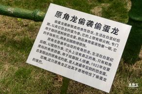深圳森林体育公园