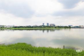 光明明湖公园