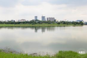 光明明湖公园