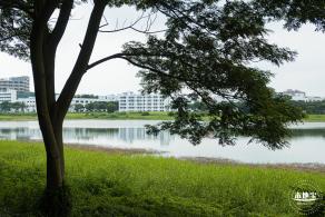 光明明湖公园