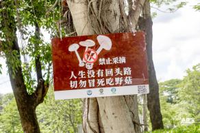 大浪文化公园
