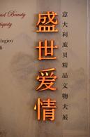 展览--盛世爱情