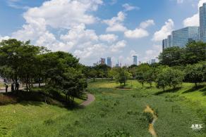 南方科技大学