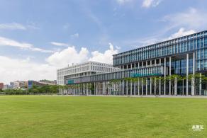 南方科技大学