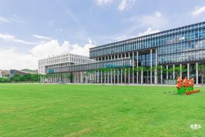 南方科技大学