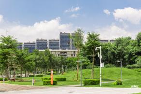 南方科技大学