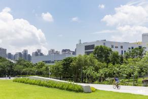 南方科技大学