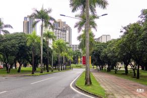 深圳大学