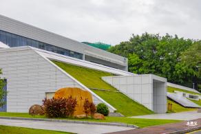 深圳大学
