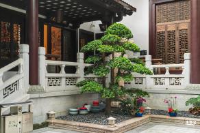 般若禅寺