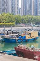 渔港中心公园