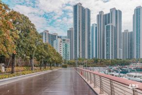 渔港中心公园