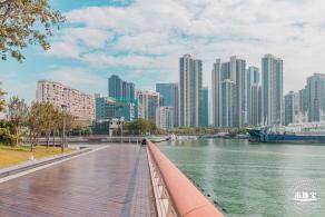 渔港中心公园