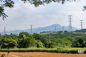 青草排公园