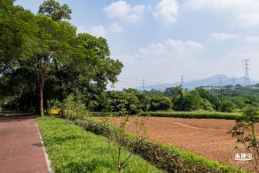 青草排公园