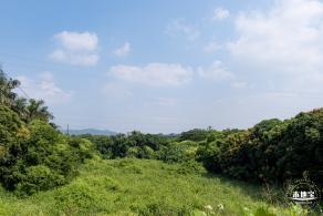 青草排公园
