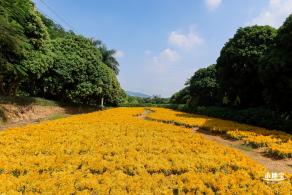 青草排公园