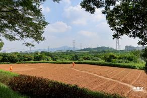 青草排公园