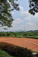 青草排公园