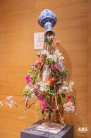 2023深圳簕杜鹃展
