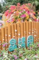 2023深圳簕杜鹃展