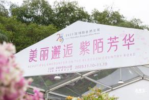 2023深圳簕杜鹃展