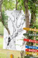 2023深圳簕杜鹃展