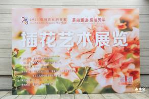 2023深圳簕杜鹃展