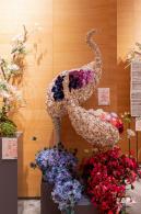 2023深圳簕杜鹃展