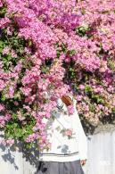 簕杜鹃花海停车场
