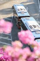 簕杜鹃花海停车场