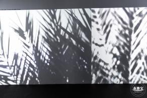 深圳美术馆展览