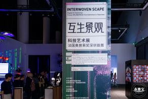 深圳美术馆展览