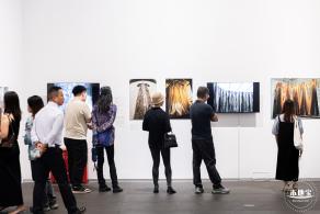 深圳美术馆展览