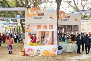2023东湖公园菊花展