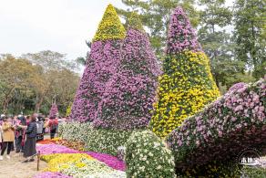 2023东湖公园菊花展