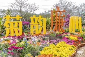 2023东湖公园菊花展