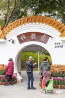 2023东湖公园菊花展