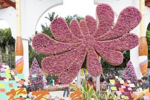 2023东湖公园菊花展