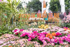 2023东湖公园菊花展