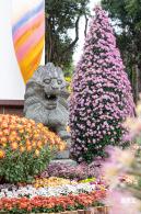 2023东湖公园菊花展