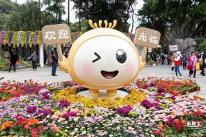 2023东湖公园菊花展