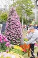 2023东湖公园菊花展